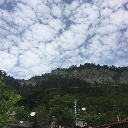 Greenland Hotel Bordzjomi Buitenkant foto