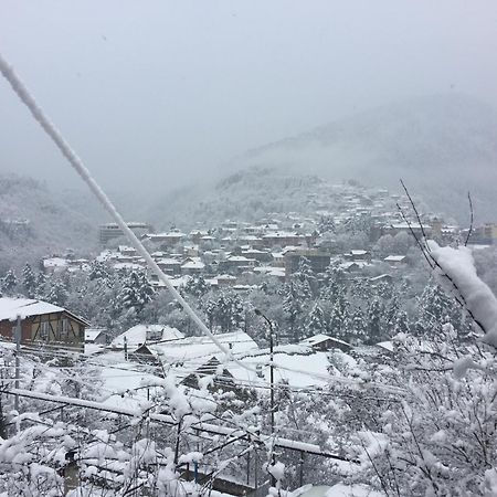 Greenland Hotel Bordzjomi Buitenkant foto